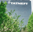 Компания «Татнефть» объявляет шестой конкурс грантов - TatCenter.ru
