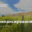 Изображение новости Департамент инвестиций и развития малого и среднего предпринимательства Краснодарского края сообщает, что решением наблюдательного совета унитарной некоммерческой организации – микрокредитной компании «Фонд микрофинансирования субъектов малого и среднего - Динское сельское поселение