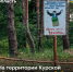 🔔 На территории Курской области отменен особый противопожарный режим. Снято ограничение на пребывание граждан в лесах и въезд в них транспортных средств. - Газета Дмитриевский вестник