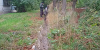 В районе дома № 44 по улице Институтской наводят порядок. - Город Курск