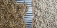Учёные ВГУ разработали многофункциональный компонент для лакокрасочных материалов из отходов сельского хозяйства - ВГУ