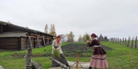 На острове Кижи собрали урожай льна - StolicaOnego.Ru