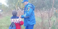 Завершены поиски двух пенсионерок, потерявшихся в лесу в Ленобласти - Комсомольская правда