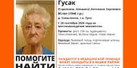 80-летняя пенсионерка пропала в тульской деревне Самылинка - ИА Тульская служба новостей