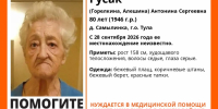 Под Тулой пропала 80-летняя местная жительница - Молодой коммунар