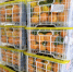 На Красноярской таможне отмечают рост поставок импортной растительной продукции - Газета Красноярский рабочий