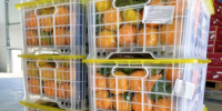 На Красноярской таможне отмечают рост поставок импортной растительной продукции - Газета Красноярский рабочий