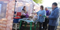 На Оренбургском ипподроме 3 октября пройдёт ярмарка местной сельхозпродукции - Газета Оренбуржье
