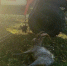 IMG_20260928_195003_194 - ЗА Новомосковск