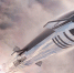 Starship впервые вышел на орбиту: SpaceX запустила тяжелую ракету нового поколения - tvspb.ru - ТК Санкт-Петербург