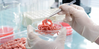 В продукции птицефабрики «Чамзинская» обнаружена сальмонелла! - Столица С