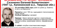 В тверских лесах пропал 79-летний мужчина. Ищут - Газета Вся Тверь