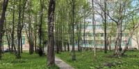 На Тушканова в Петропавловске обустроят сквер к 2027 году - Полуостров Камчатка
