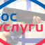 Справку о наличии или отсутствии оружия можно получить дистанционно - Росгвардия