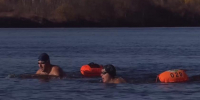 «Вода — бодрящая!»: амурские спортсмены проплыли по пути миграции сибирской косули (ВИДЕО) - Asn24.Ru