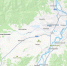 Медведя, замеченного возле села Каленово, ликвидировали - Infpol.Ru
