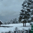 06d85842-edec-4cf8-a894-2f90abe9096c.jpg - ВостокТелеИнформ