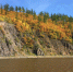 Амур в сентябре. Архивное фото - Fishnews.Ru