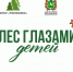 В Томской области стартовал конкурс рисунков «Лес глазами детей» - Департамент лесного хозяйства