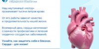 Сегодня — Всемирный день сердца - КГБУЗ ККЦМП