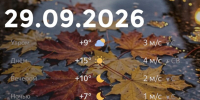 Bazaart_2026-09-27_230520 - ЗА Новомосковск