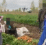 В Хакасии выловили иностранцев, нелегально нанятых для сбора урожая в Усть-Абаканском районе - Агентство Информационных Сообщений