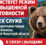 В Усть-Илимске и на территории Усть-Илимского муниципального округа сохраняется режим повышенной готовности служб в связи с участившимися случаями выхода медведей к населённым пунктам - Администрация г. Усть-Илимск