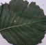 001-2026-09-29-list.jpg - Ozersk74.Ru