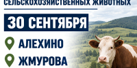 Важная информация для владельцев сельскохозяйственных животных. - Администрация Черемховского района