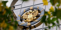 Верховный Суд России восстановил права вдовы и ребёнка участника спецоперации - ИА Хабаровский край сегодня