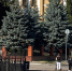 Синоптики рассказали, какой будет погода в Кирове 29 сентября - ProGorod.Ru