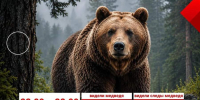 Красраб. Сибирский новостной портал - Газета Красноярский рабочий