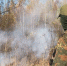 Вологда-поиск - Вологда-поиск