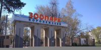 Бесплатно посетить зоопарк 1 октября смогут воронежские пенсионеры - Обозреватель.Врн