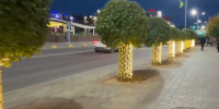 Яблоневая аллея в Улан-Удэ будет круглый год подсвечиваться прожекторами - ИА Байкал-Daily