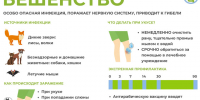 Всемирный день борьбы с бешенством. - Нагорский муниципальный район