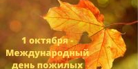 школа библиотечной инноватики - МИБС г. Томска