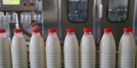 В Ульяновске суд запретил организации продавать незаконную молочную продукцию - Комсомольская правда