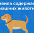 ПАМЯТКА о  требованиях и правилах по содержанию домашних животных. - Петуховский муниципальный округ