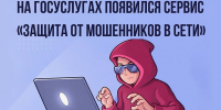 На баннере надпись: «На Госуслугах появился сервис «Защита от мошенников в сети» и изображение мошенника за ноутбуком - Министерство транспорта