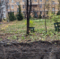 «Лётчик Папанин» и зелёная зона в 30 сантиметров - SeverPost.ru