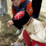 b101d66c-d6bc-4b37-9782-f1117c50e599_1_1.jpg - GorodnaBire.Ru