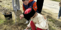 b101d66c-d6bc-4b37-9782-f1117c50e599_1_1.jpg - GorodnaBire.Ru