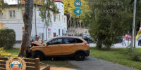В Светлогорске автомобиль врезался в дерево, пострадал пенсионер - Комсомольская правда