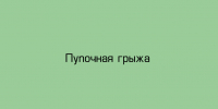 Пупочная грыжа - Народное слово