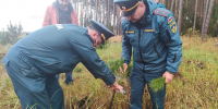 В Луховицах сотрудники МЧС приняли участие в акции «Сохраним лес» - ГУ МЧС МО