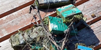 Новотроицкое водохранилище на Ставрополье очистили от сетей браконьеров - Телеканал СвоёТВ