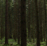 Картинка - Regions.Ru