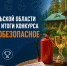 В Архангельской oбласти подведены итоги конкурса «Пожаробезопасное лето» - МЧС Архангельской области