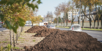 Более 15 тысяч квадратных метров газона восстановили в рамках компенсационного озеленения в Нижнем Новгороде - Администрация г. Нижний Новгород